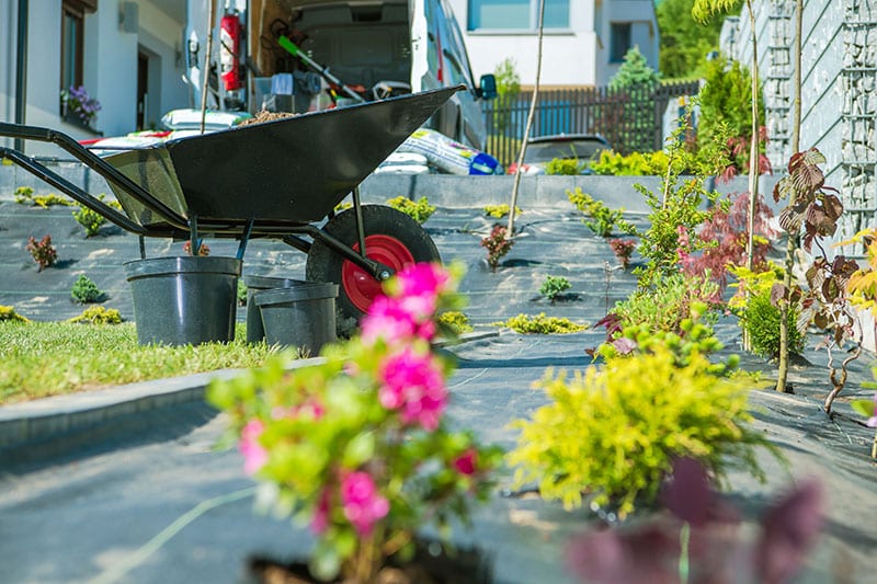 Landscaping work with new flowers, plants and weed paper