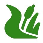 Creek icon